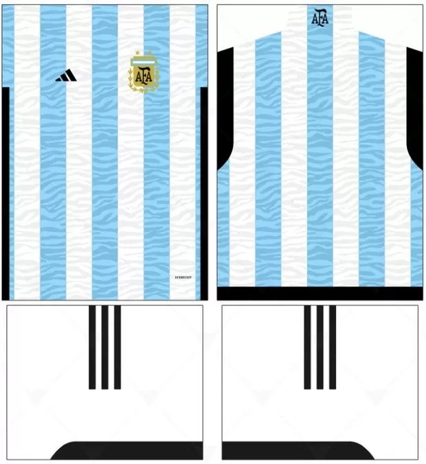 Arte Vetor Camisa Argentina Conceito 06